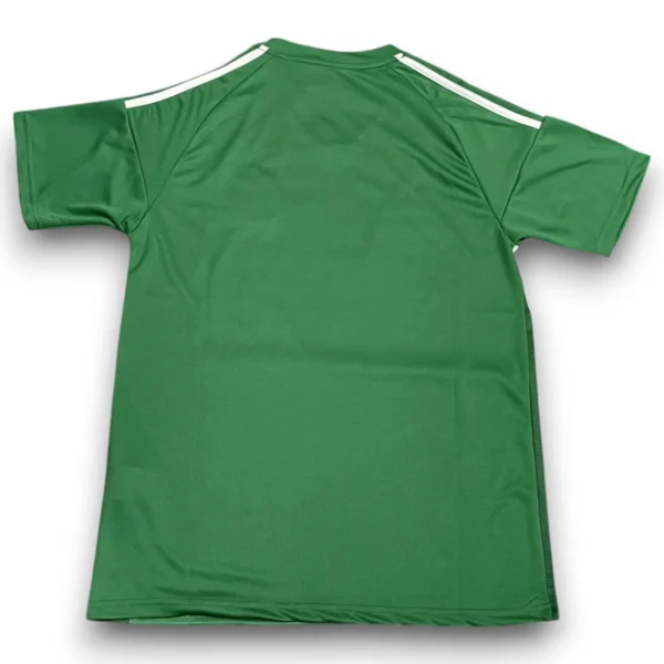 Camiseta Newcastle United 2025/26 - Imagen 2